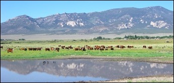 Snake Valley